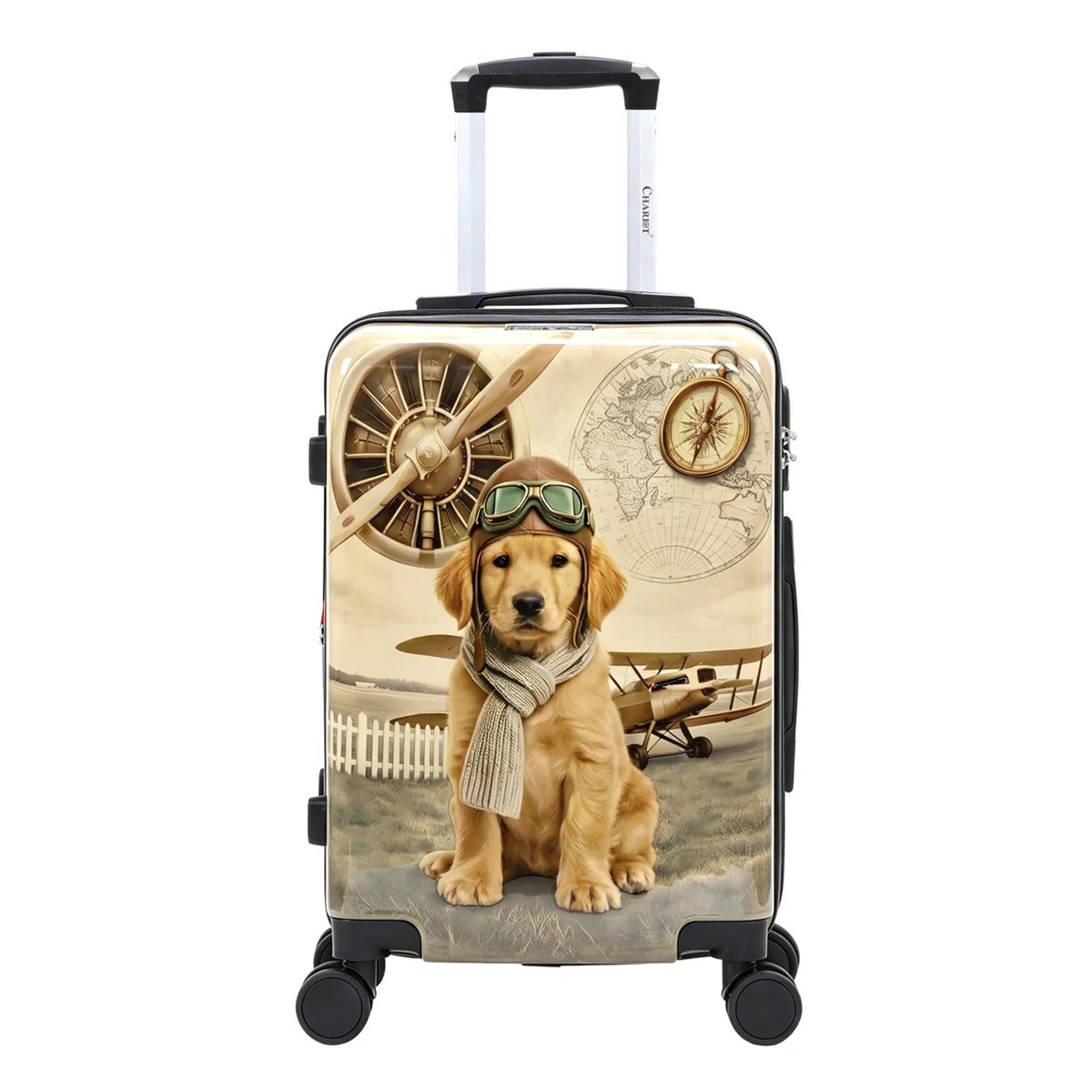 Aviator Pup