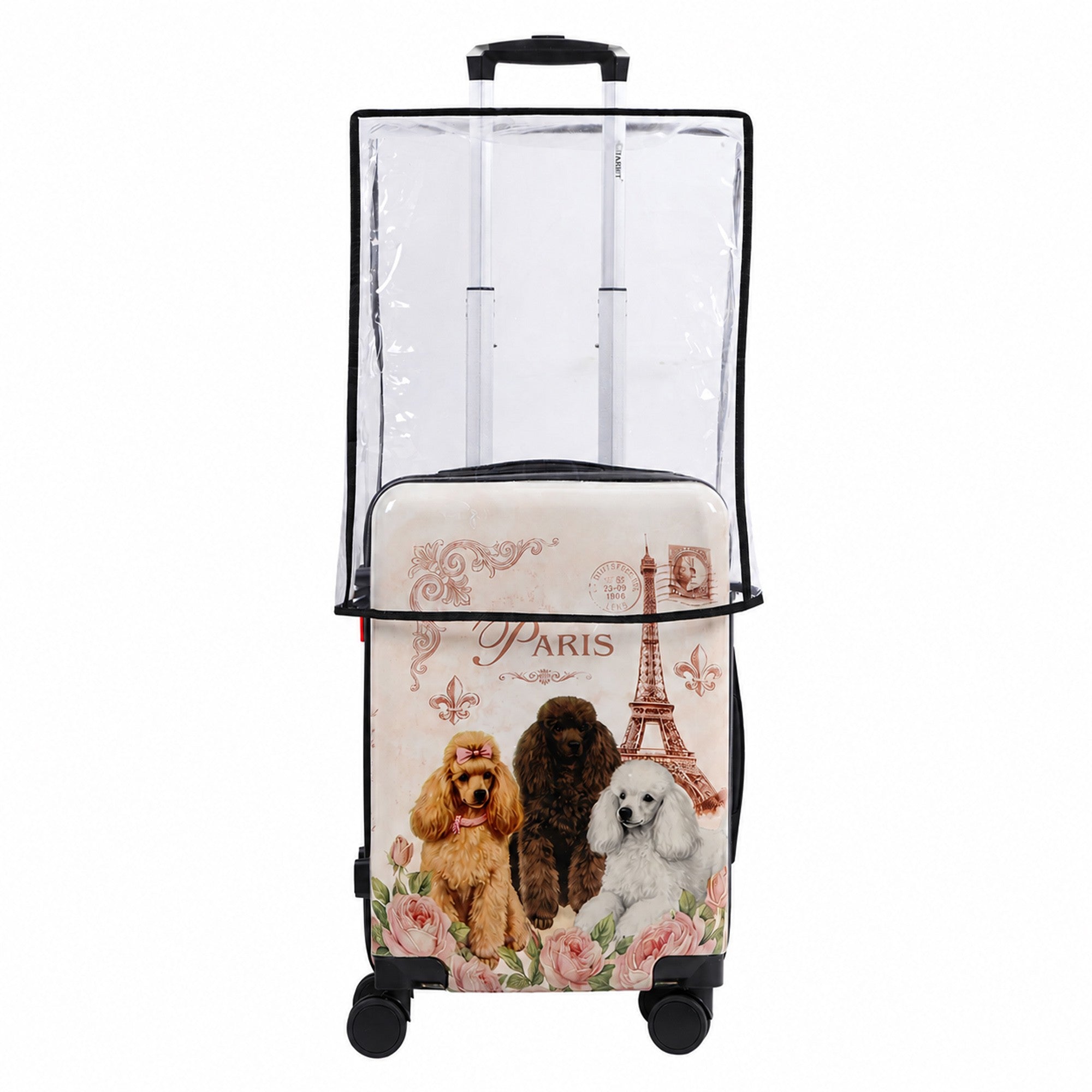 Paris Poodles