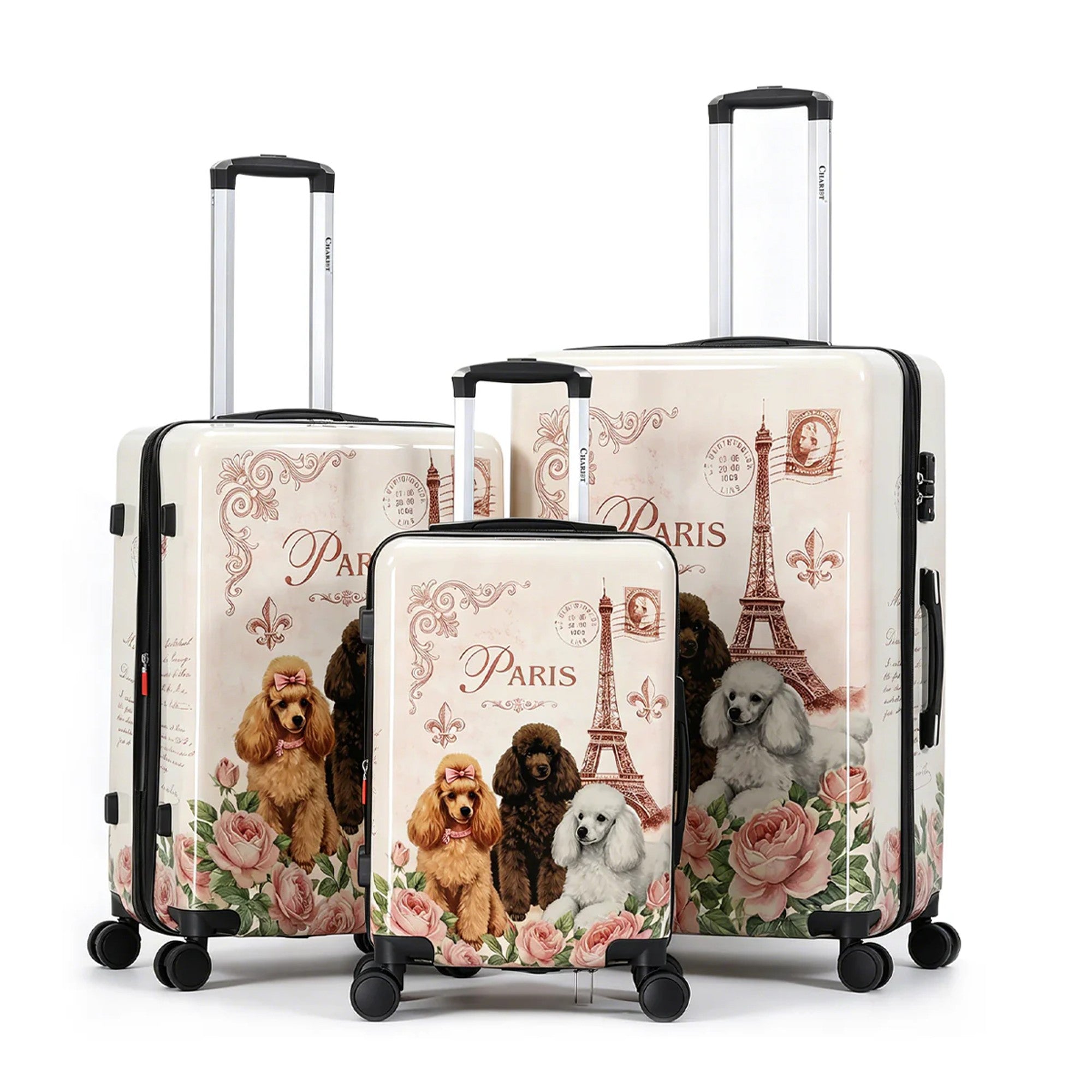 Paris Poodles