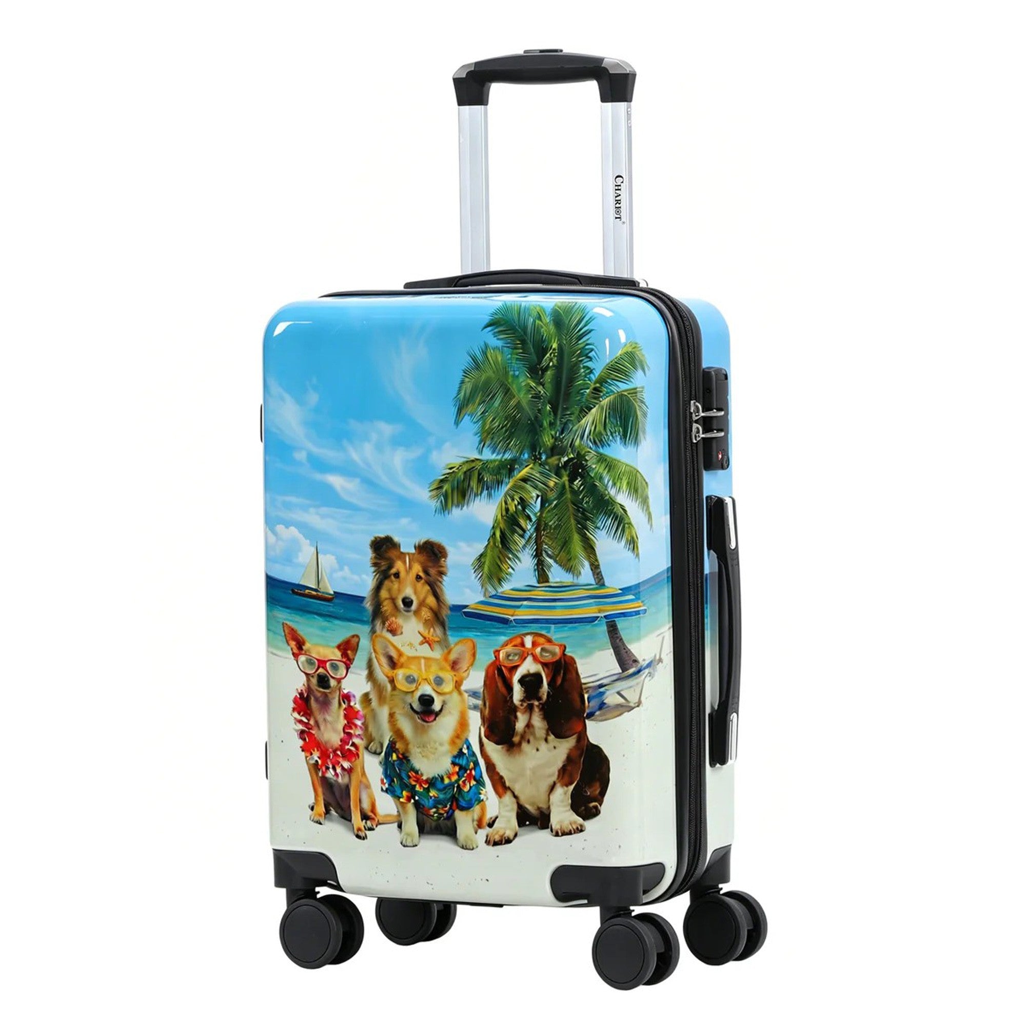 Beach Pups